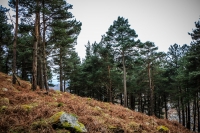 03032013-08254-wicklow_mountains