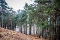 03032013-08255-wicklow_mountains