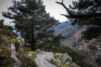 03032013-08256-wicklow_mountains