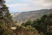 03032013-08259-wicklow_mountains