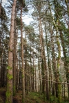 18032013-09494-sans-titre