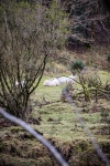 18032013-09501-sans-titre