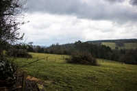 18032013-09504-sans-titre