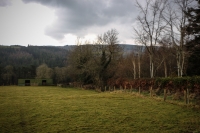18032013-09507-sans-titre