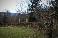 18032013-09508-sans-titre