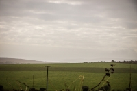 08032013-08556-southwest