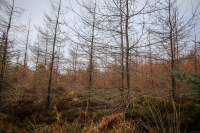 08032013-08420-sans-titre