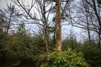 08032013-08421-sans-titre