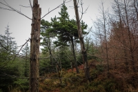 08032013-08424-sans-titre