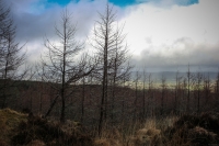 08032013-08438-sans-titre