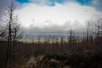 08032013-08439-sans-titre