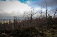 08032013-08440-sans-titre